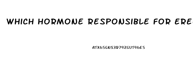 Which Hormone Responsible For Erectile Dysfunction