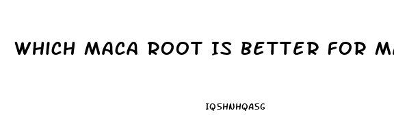 Which Maca Root Is Better For Man Libido