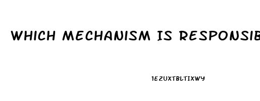 Which Mechanism Is Responsible For The Theraputic Effect Of Sildenafil