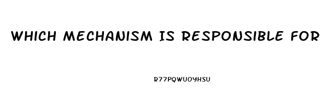 Which Mechanism Is Responsible For The Theraputic Effect Of Sildenafil