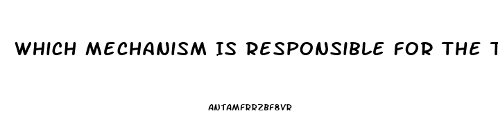 Which Mechanism Is Responsible For The Theraputic Effect Of Sildenafil