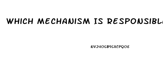 Which Mechanism Is Responsible For The Theraputic Effect Of Sildenafil