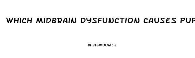 Which Midbrain Dysfunction Causes Pupils To Be Pinpoint Size And Fixed In Position