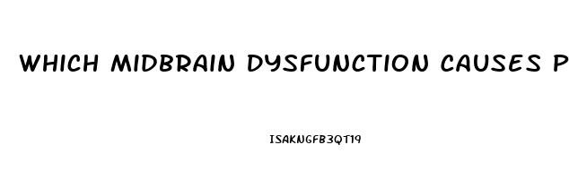 Which Midbrain Dysfunction Causes Pupils To Be Pinpoint Size And Fixed In Position