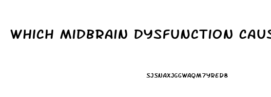 Which Midbrain Dysfunction Causes Pupils To Be Pinpoint Size And Fixed In Position