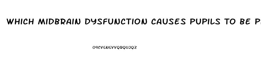 Which Midbrain Dysfunction Causes Pupils To Be Pinpoint Size And Fixed In Position