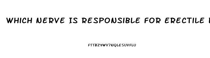 Which Nerve Is Responsible For Erectile Dysfunction