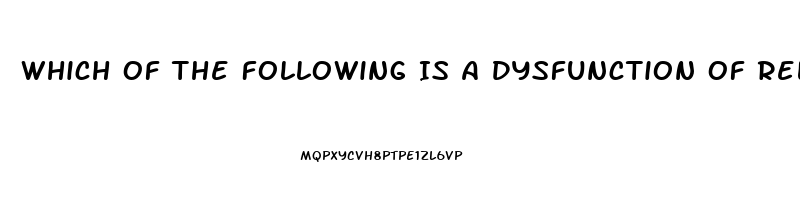 Which Of The Following Is A Dysfunction Of Religion