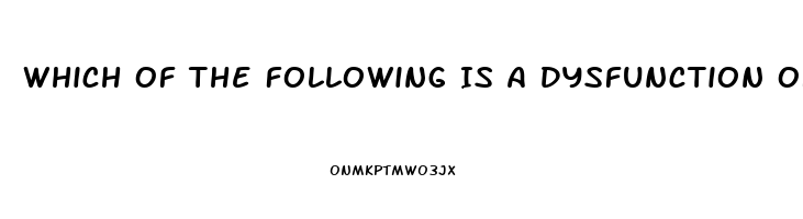 Which Of The Following Is A Dysfunction Of Religion