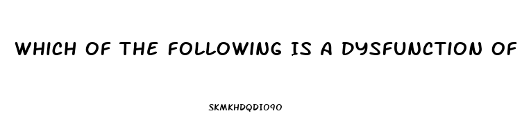 Which Of The Following Is A Dysfunction Of Religion