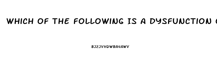 Which Of The Following Is A Dysfunction Of Religion