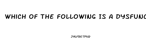 Which Of The Following Is A Dysfunction Of Religion