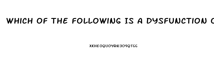 Which Of The Following Is A Dysfunction Of Religion
