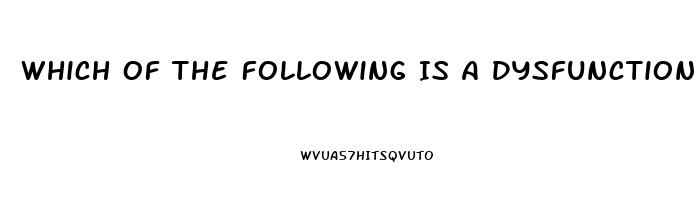 Which Of The Following Is A Dysfunction That The Media May Have