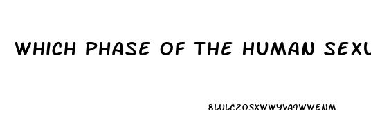 Which Phase Of The Human Sexual Response Cycle Is Not Affected By A Sexual Dysfunction