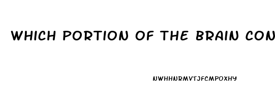 Which Portion Of The Brain Controls Impotence