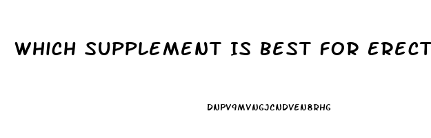 Which Supplement Is Best For Erectile Dysfunction