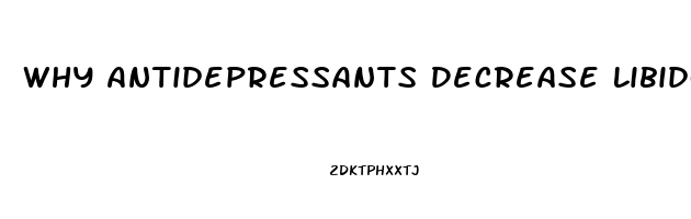 Why Antidepressants Decrease Libido