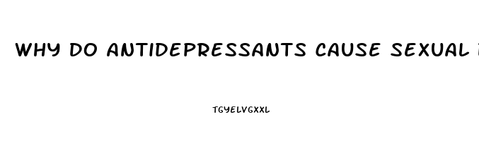 Why Do Antidepressants Cause Sexual Dysfunction