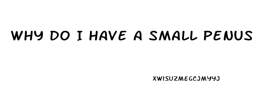 Why Do I Have A Small Penus