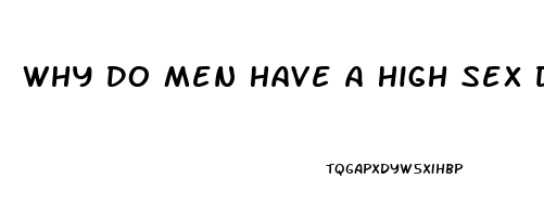 Why Do Men Have A High Sex Drive