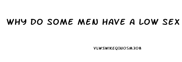 Why Do Some Men Have A Low Sex Drive