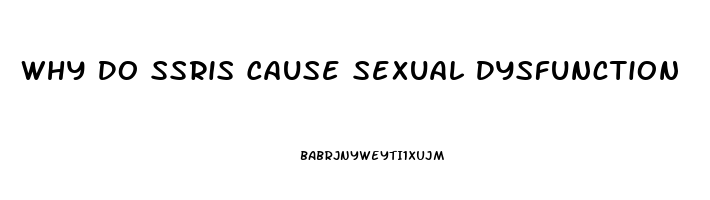 Why Do Ssris Cause Sexual Dysfunction