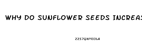 Why Do Sunflower Seeds Increase My Libido