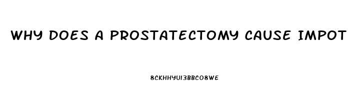 Why Does A Prostatectomy Cause Impotence