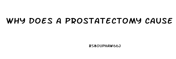 Why Does A Prostatectomy Cause Impotence