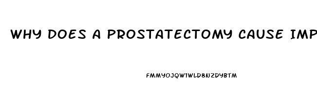 Why Does A Prostatectomy Cause Impotence