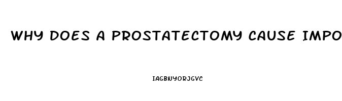 Why Does A Prostatectomy Cause Impotence