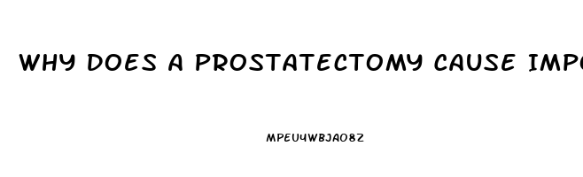 Why Does A Prostatectomy Cause Impotence