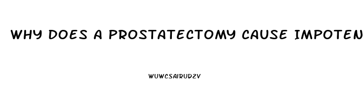 Why Does A Prostatectomy Cause Impotence