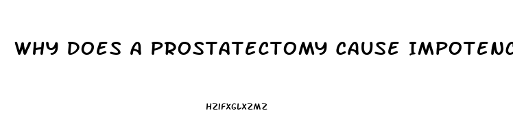 Why Does A Prostatectomy Cause Impotence