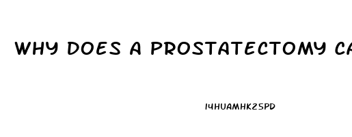 Why Does A Prostatectomy Cause Impotence