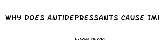 Why Does Antidepressants Cause Impotence