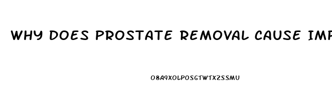 Why Does Prostate Removal Cause Impotence