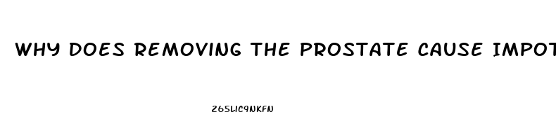 Why Does Removing The Prostate Cause Impotence