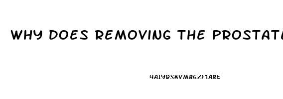 Why Does Removing The Prostate Cause Impotence