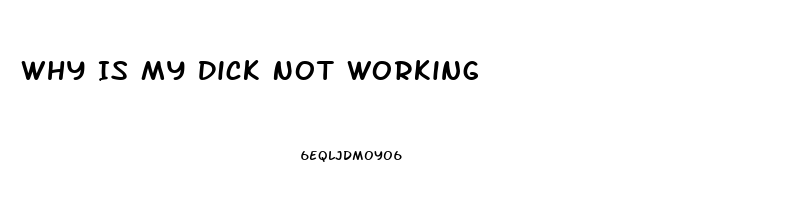 Why Is My Dick Not Working