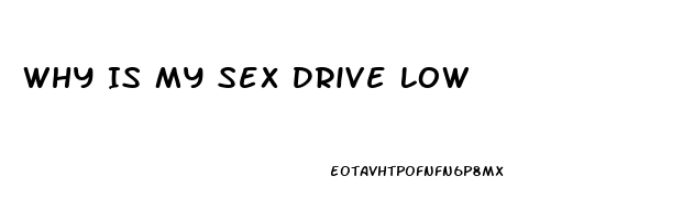 Why Is My Sex Drive Low