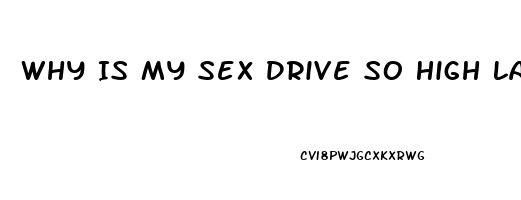 Why Is My Sex Drive So High Lately