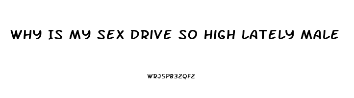 Why Is My Sex Drive So High Lately Male