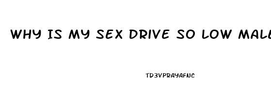 Why Is My Sex Drive So Low Male