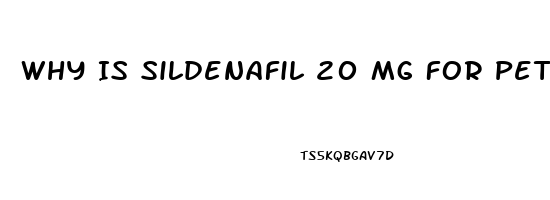 Why Is Sildenafil 20 Mg For Pets Cheaper Than For Humans