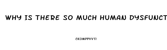 Why Is There So Much Human Dysfunction In Horse Rescue