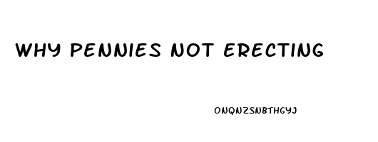 Why Pennies Not Erecting