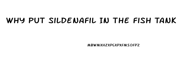 Why Put Sildenafil In The Fish Tank