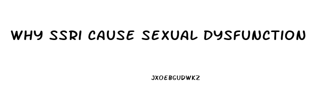 Why Ssri Cause Sexual Dysfunction